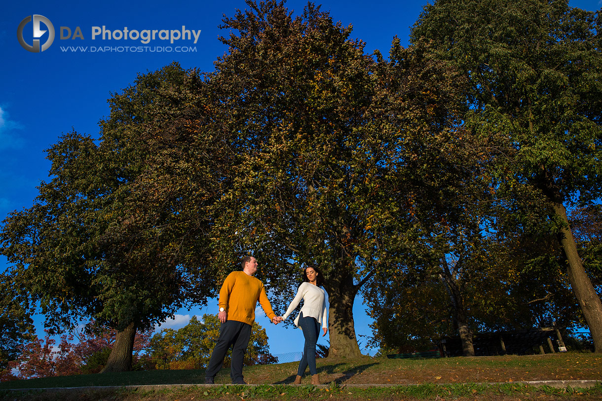 Golden Hour photos at High Park