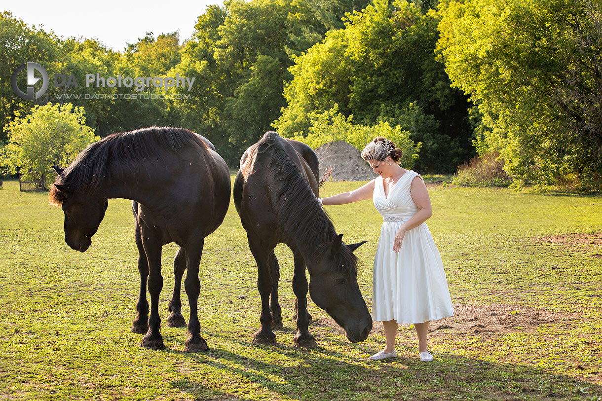 Photos of Bride with horses at NithRidge Estate in Ayr