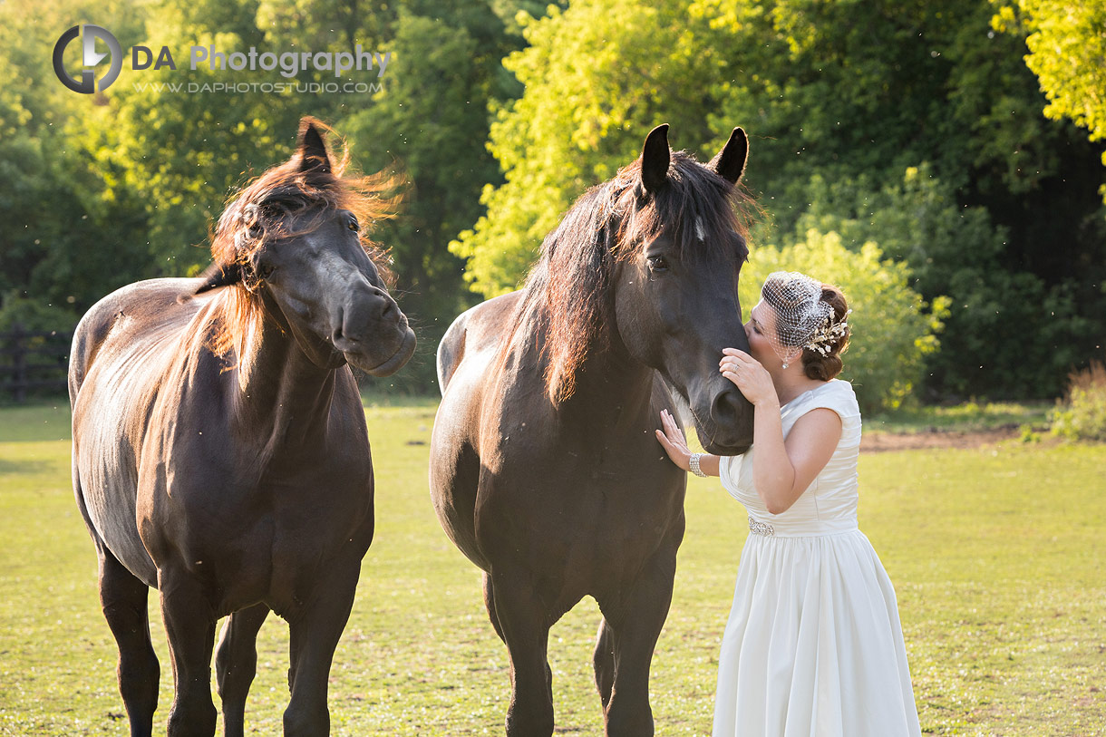 Wedding photos of Bride with horses at NithRidge Estate