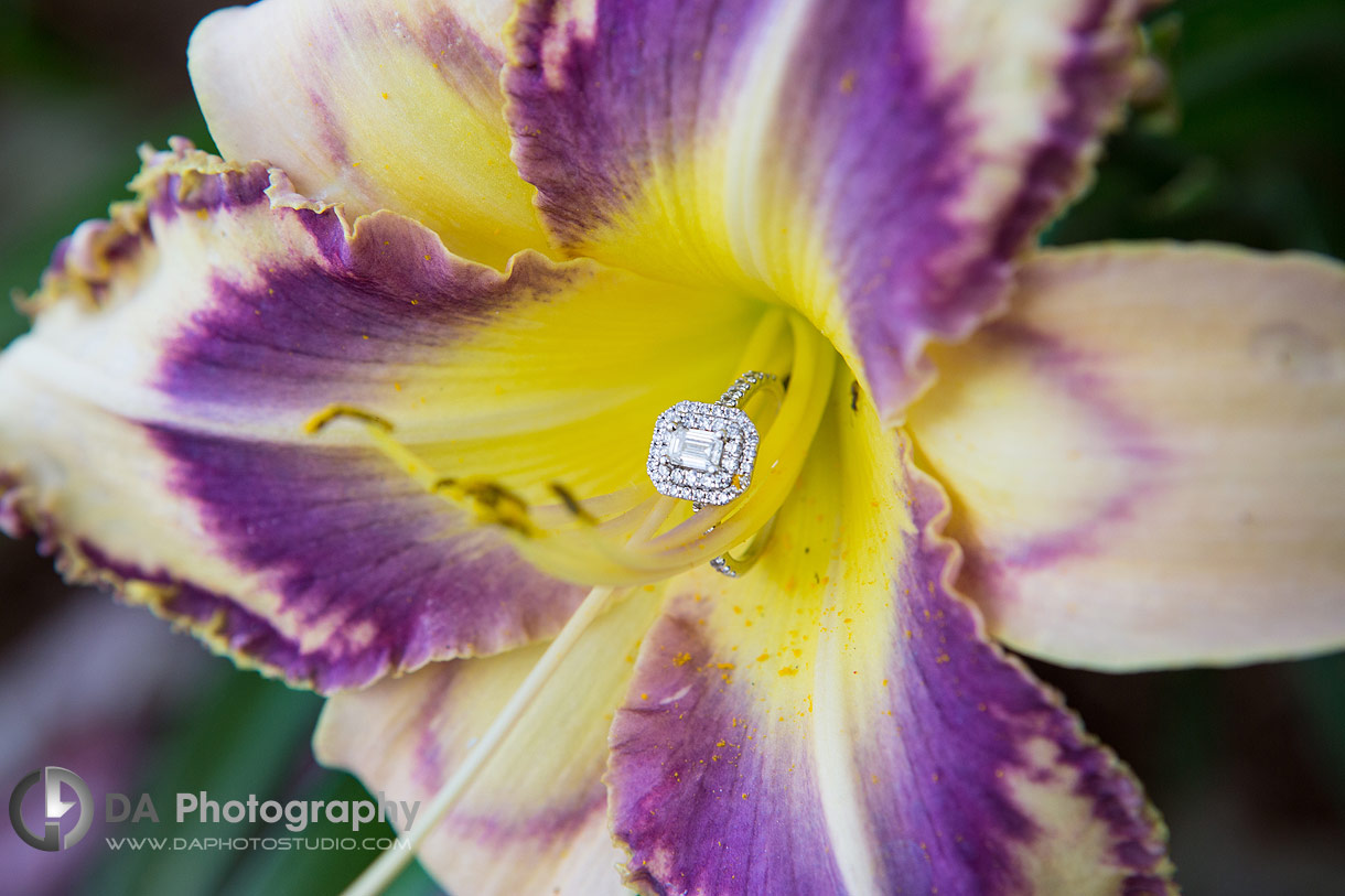 Engagement Photos in Paris