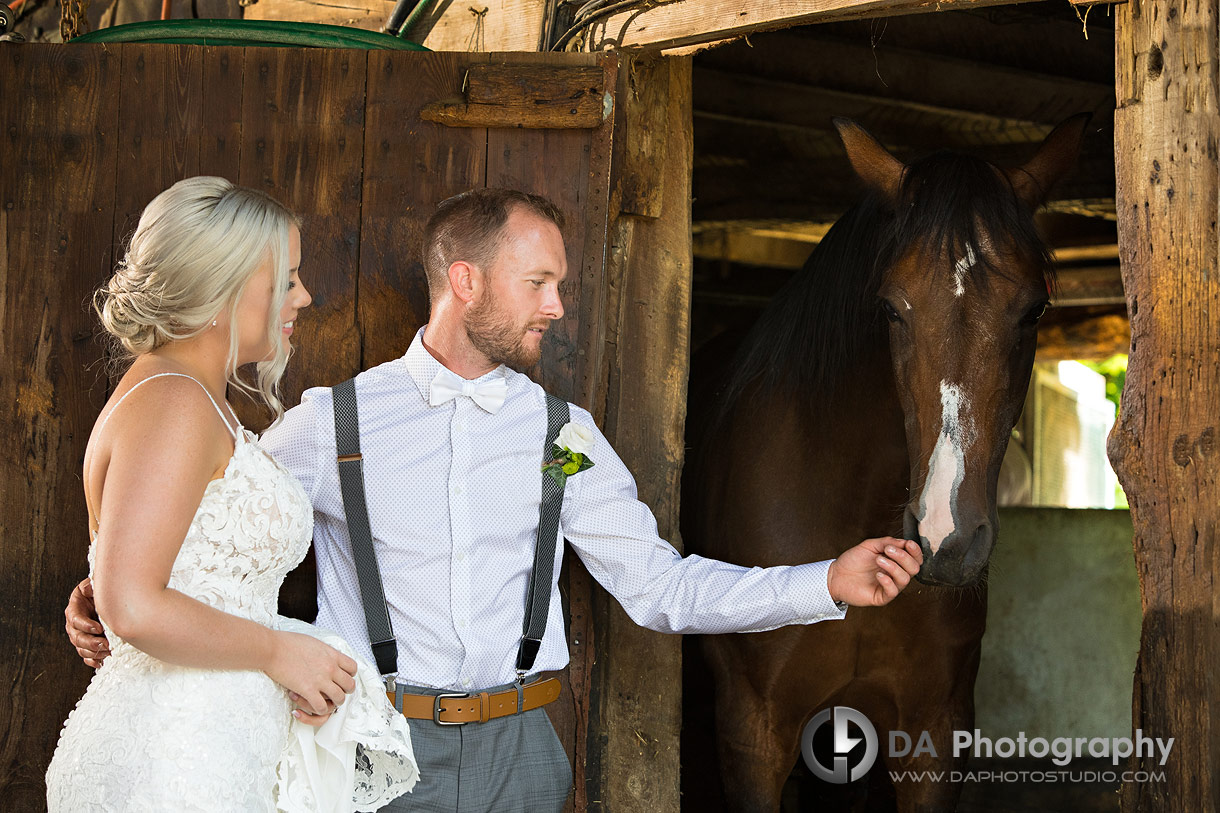 Vintage Barn Wedding in Brantford