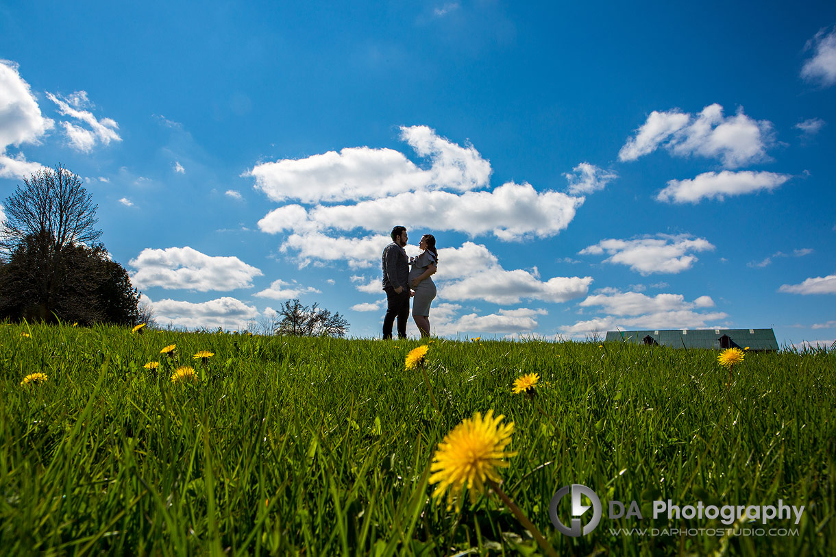 Country Heritage Park engagement in Spring