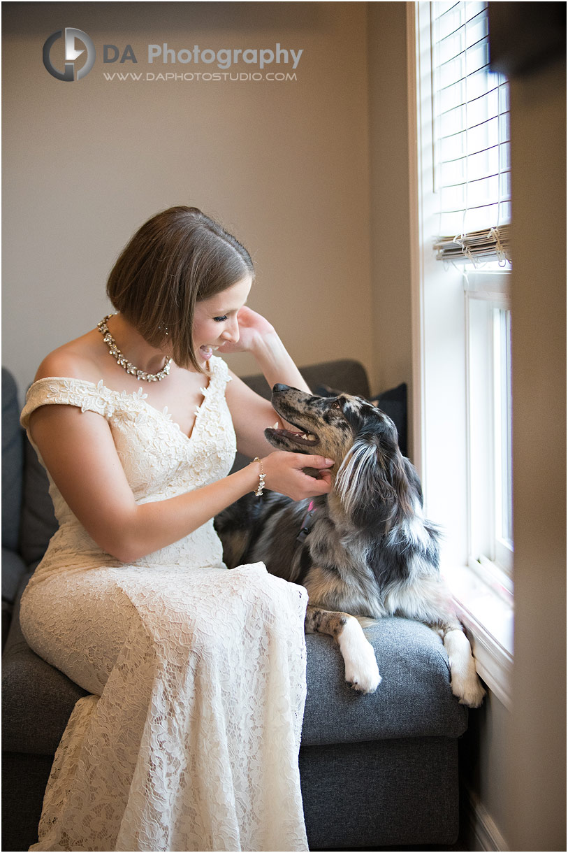 Bride with her dog in Guelph