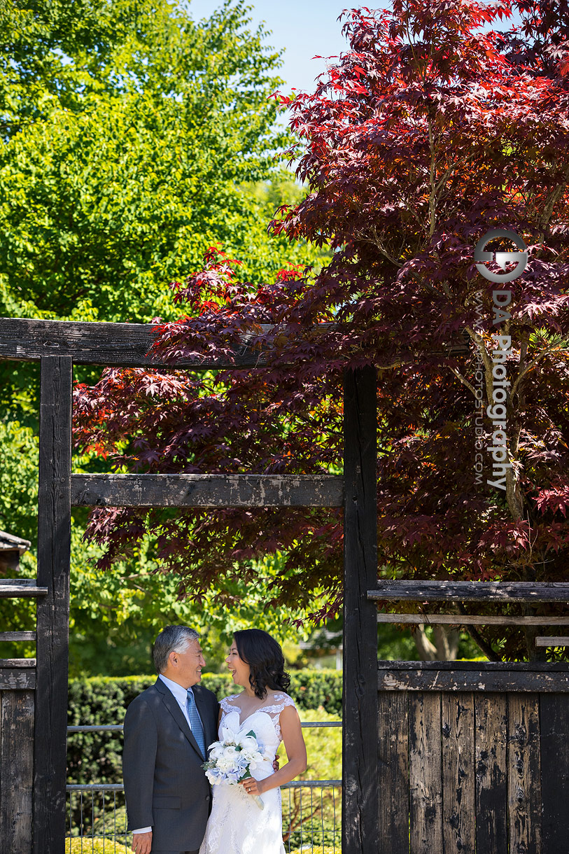 Japanese Garden Photos at University of Guelph Arboretum