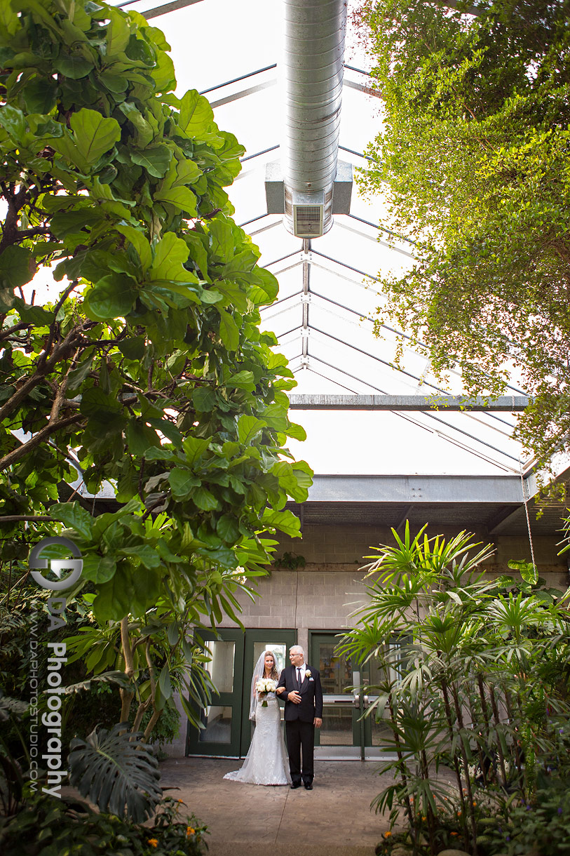 Wedding Ceremony at Cambridge Butterfly Conservatory