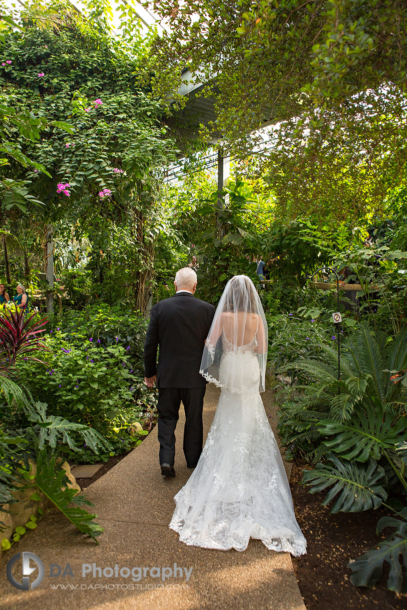 Cambridge Butterfly Conservatory Wedding Ceremony