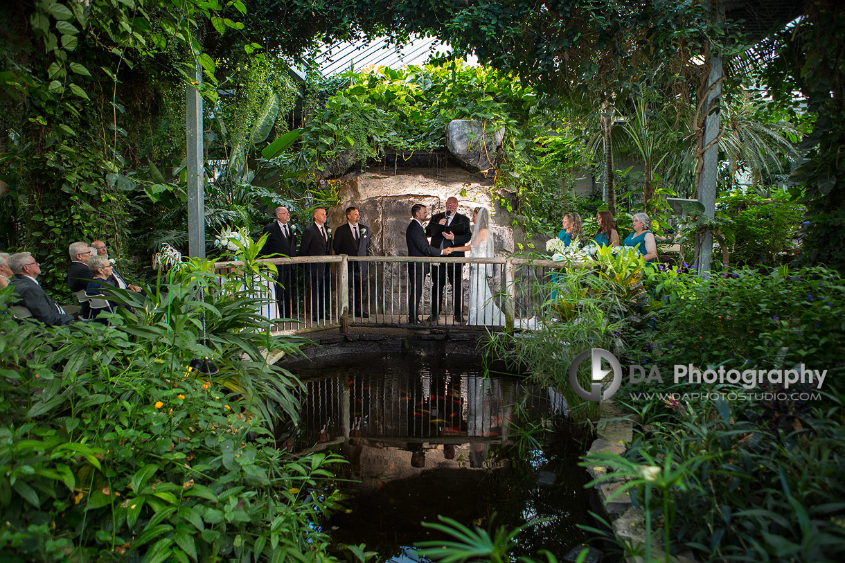 Wedding Ceremonies at Cambridge Butterfly Conservatory