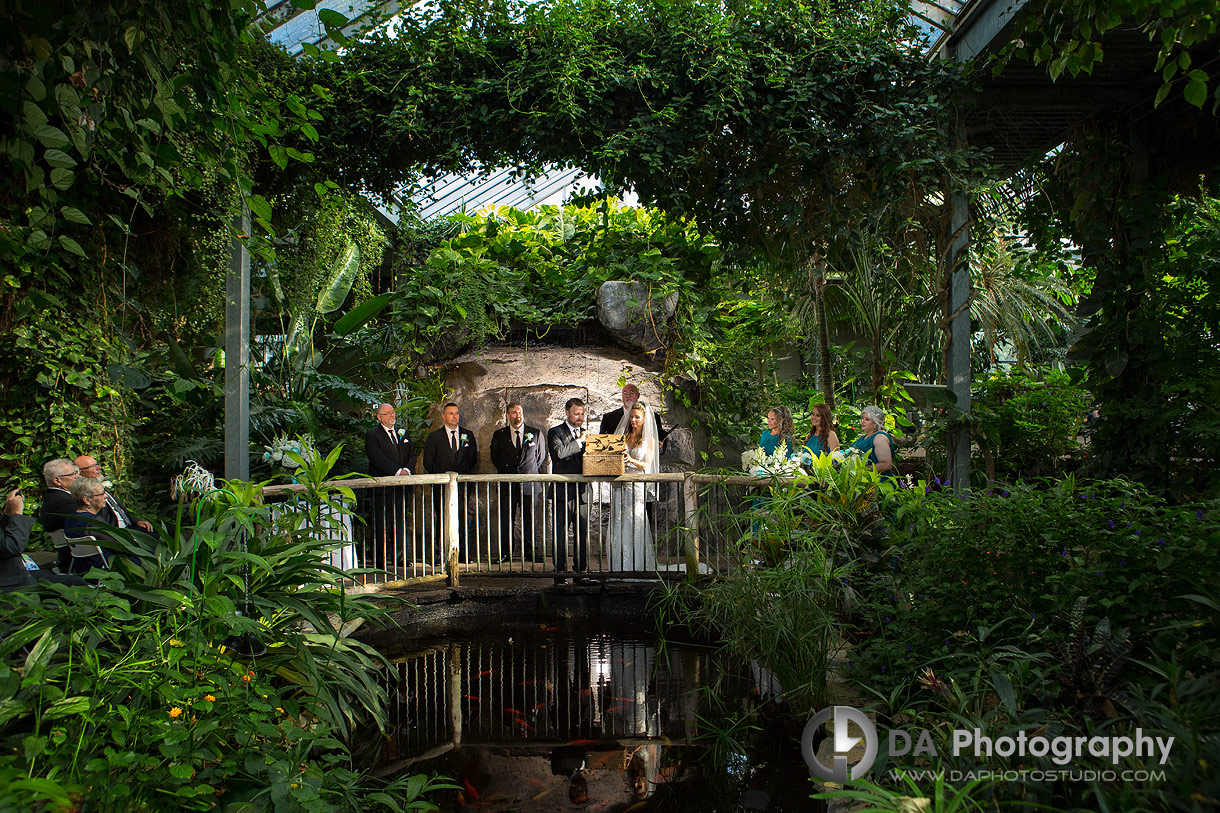 Wedding Photography at Cambridge Butterfly Conservatory