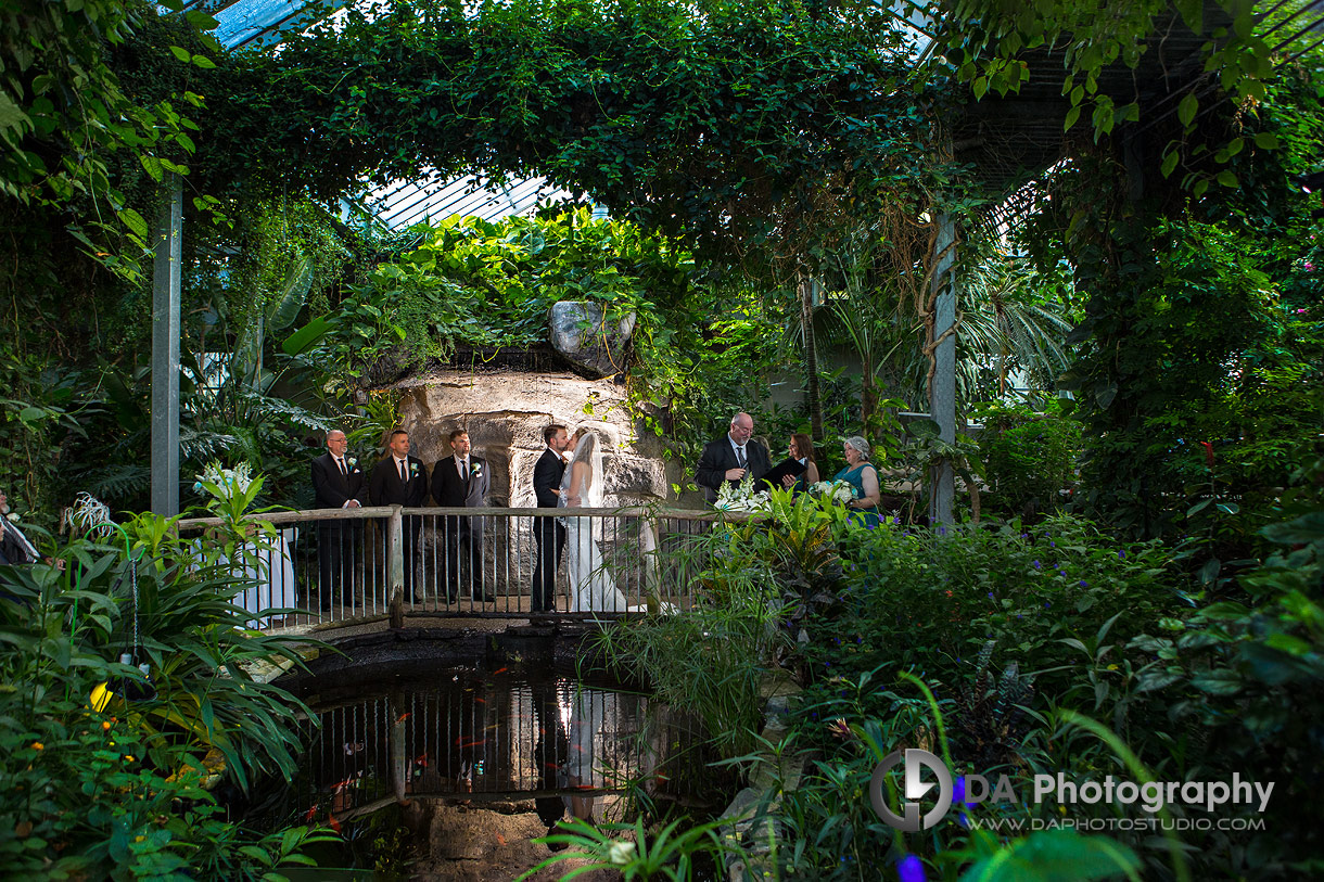 Wedding Photo at Cambridge Butterfly Conservatory in Cambridge