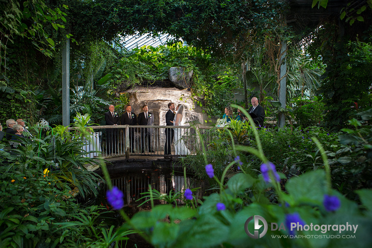 Cambridge Butterfly Conservatory Wedding