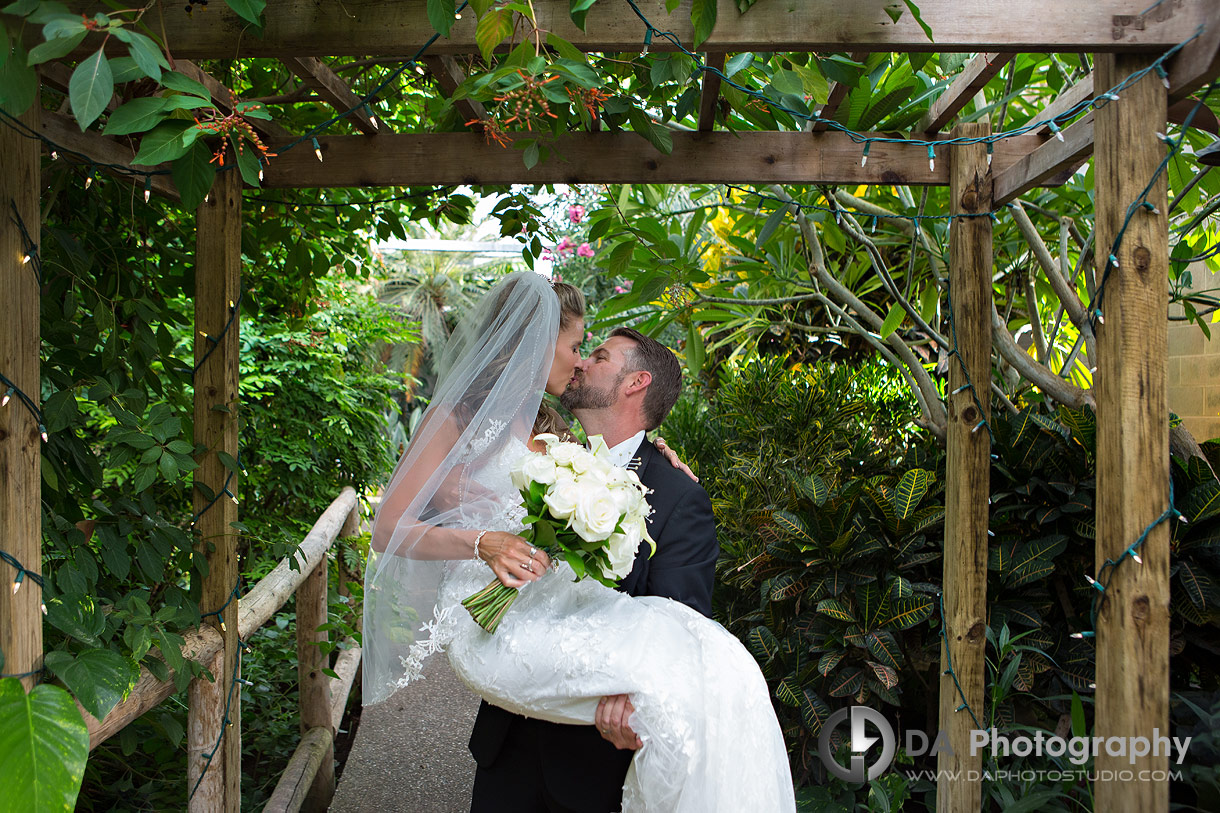 Wedding Photos at Cambridge Butterfly Conservatory
