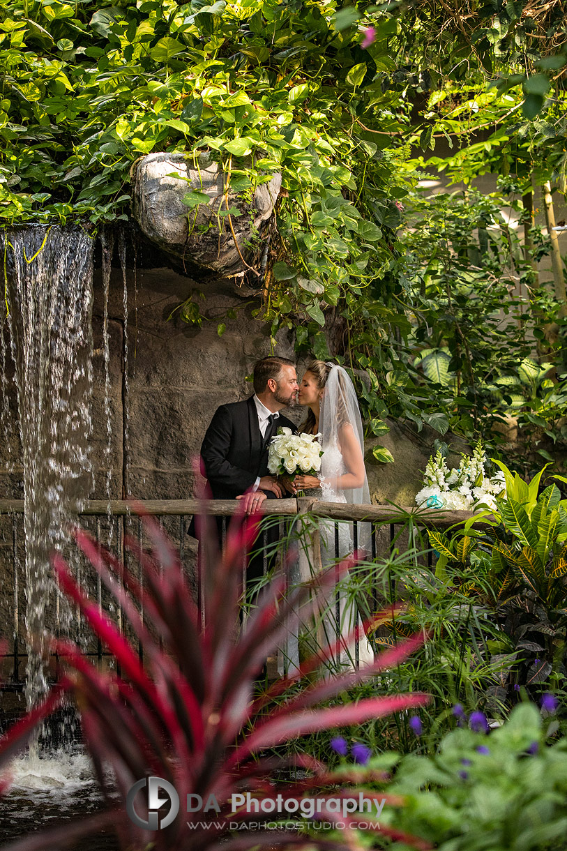 Wedding Photographs at Cambridge Butterfly Conservatory