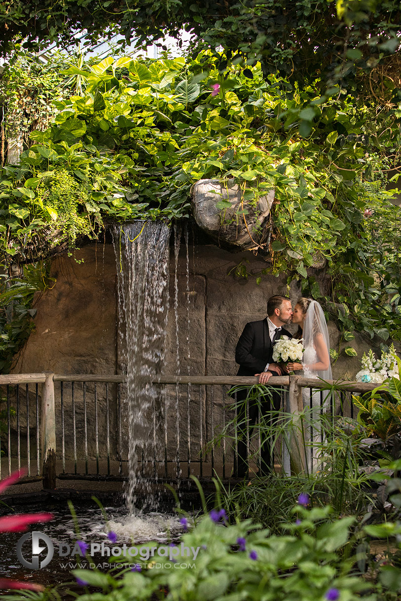 Kiss under the waterfall