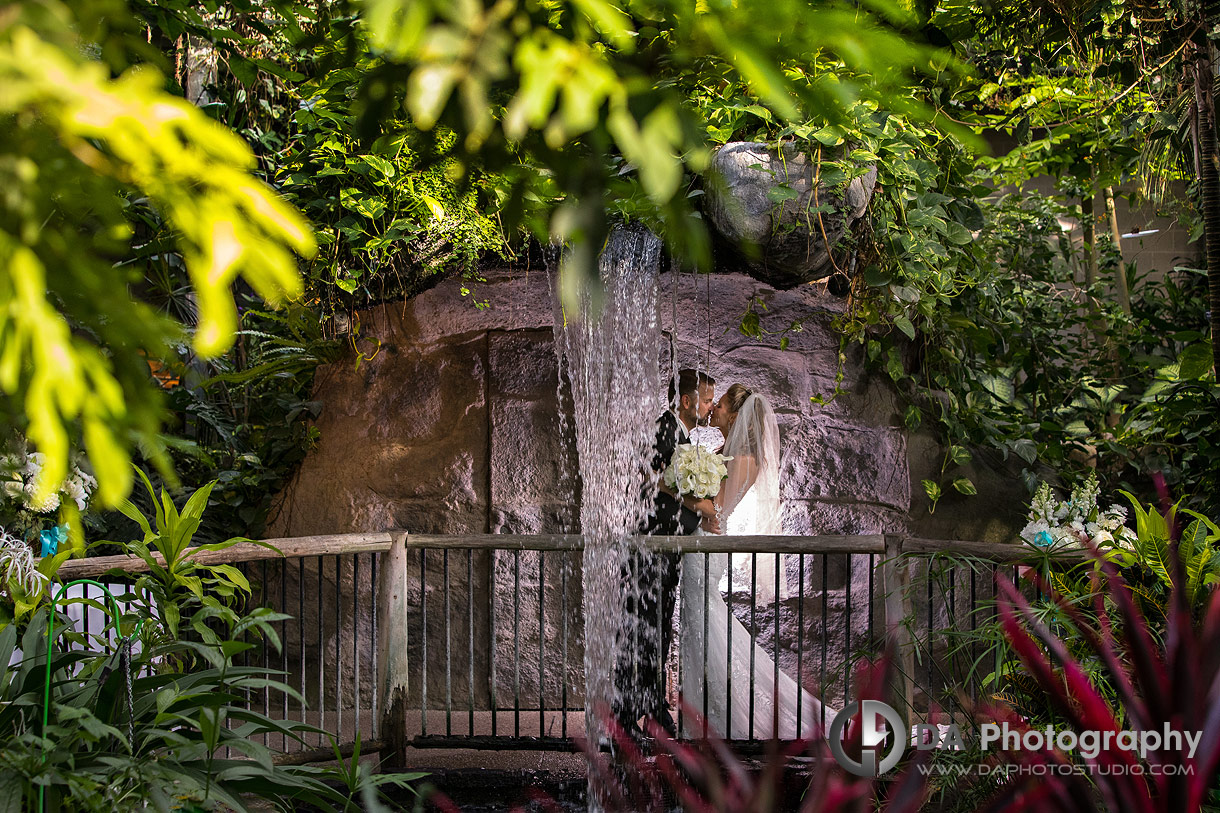 Wedding Photographers for Cambridge Butterfly Conservatory