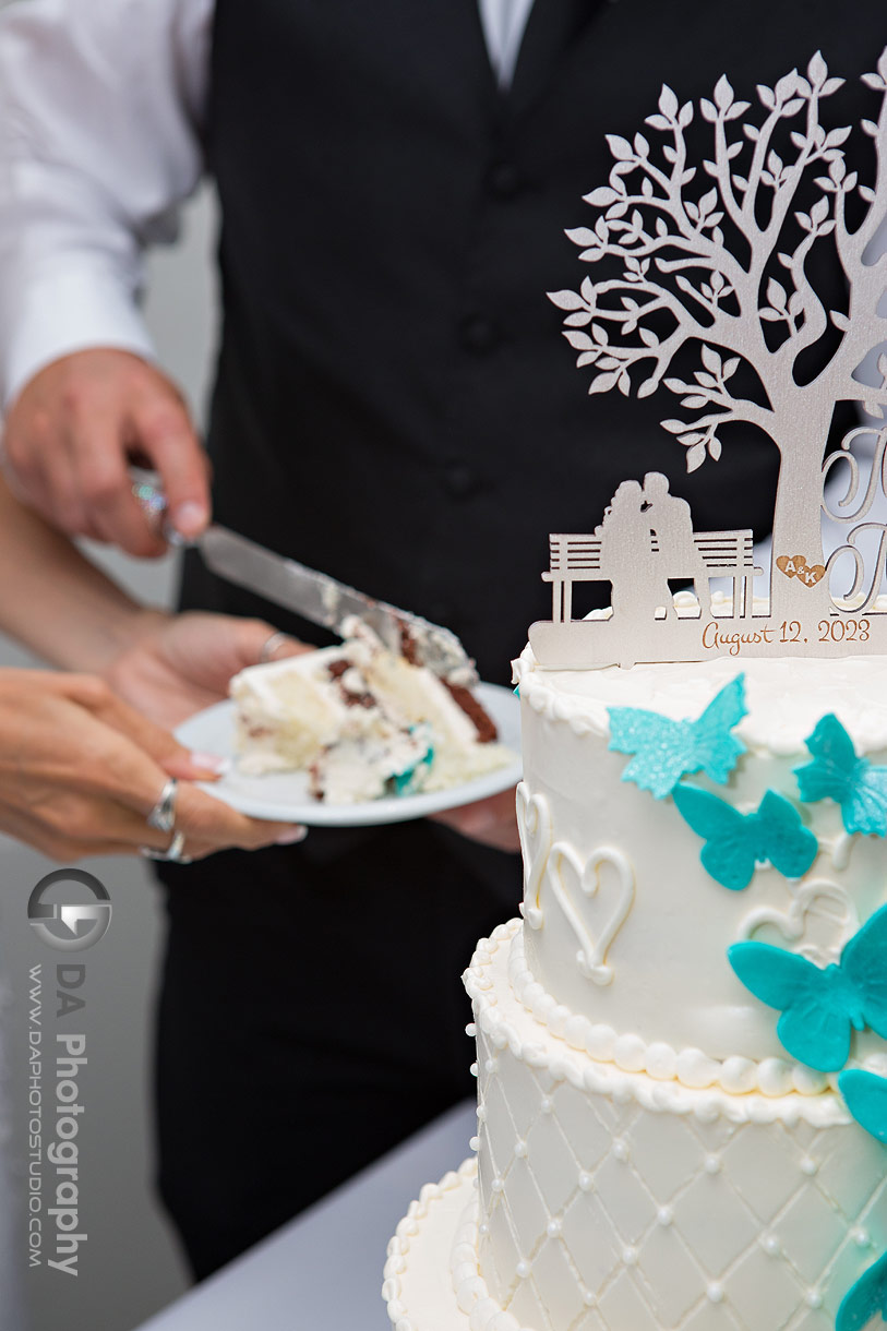 Cake cutting at Cambridge Butterfly Conservatory