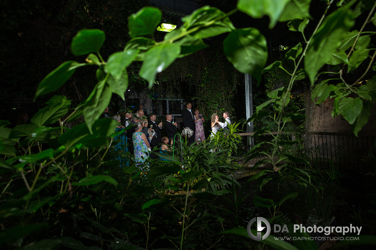 First dance under the stars