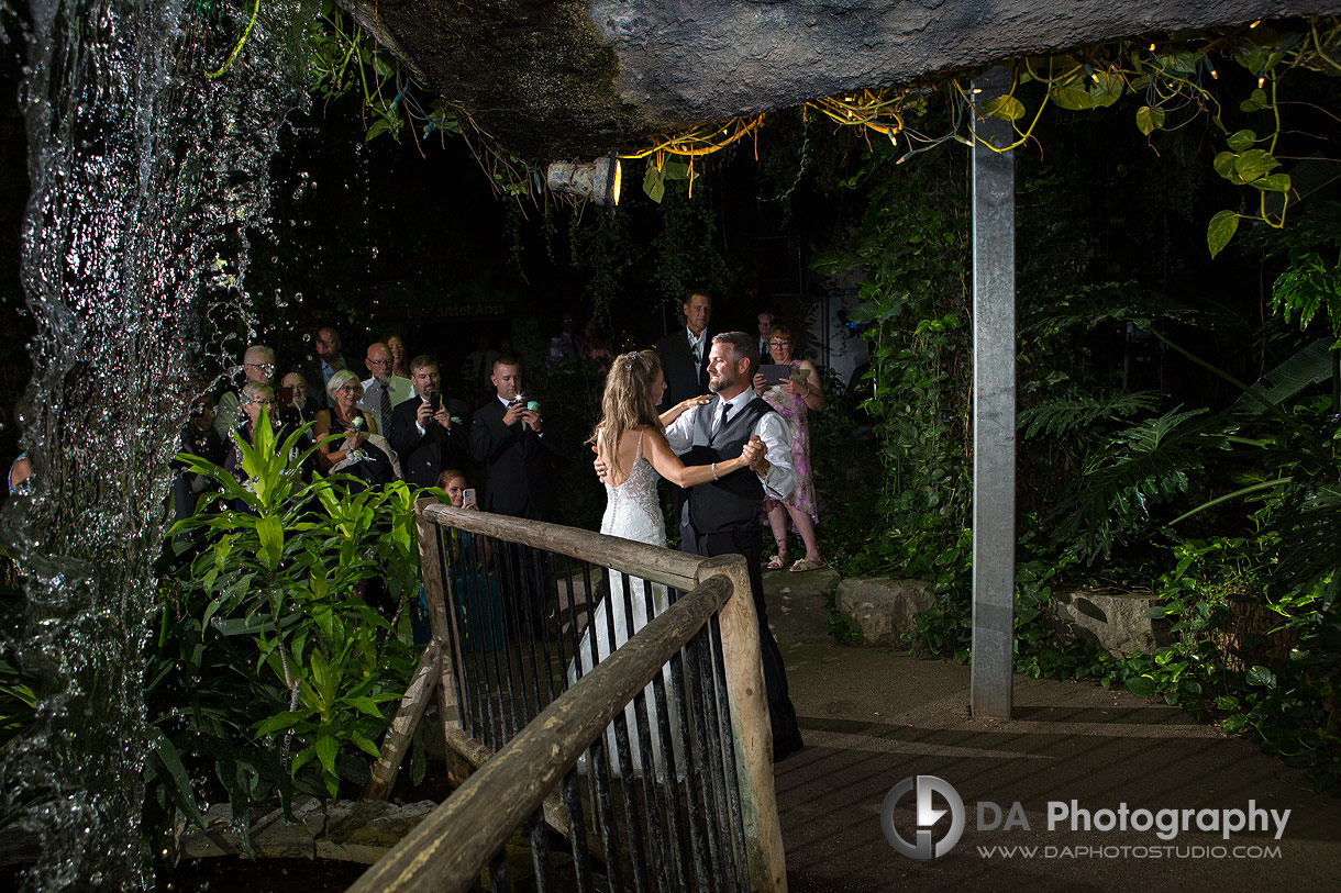 Cambridge Butterfly Conservatory Wedding in Cambridge