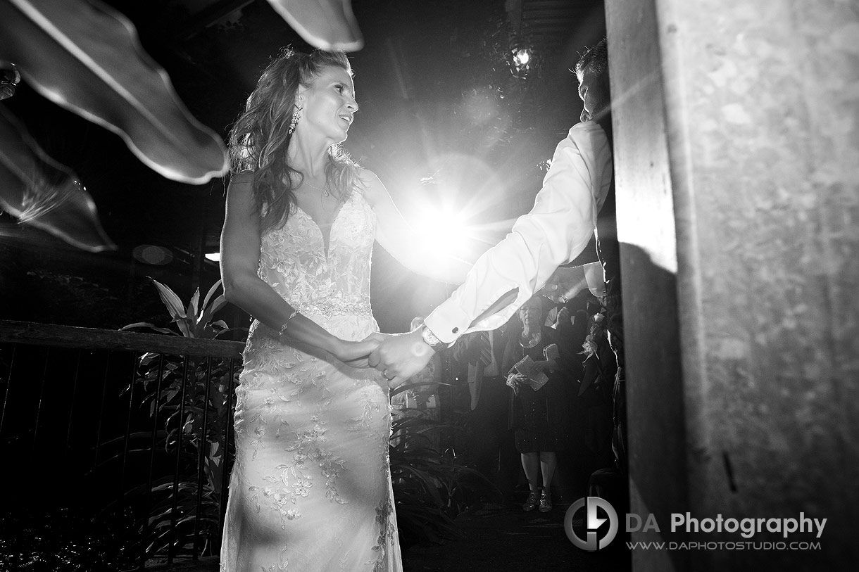 Wedding Reception at Cambridge Butterfly Conservatory