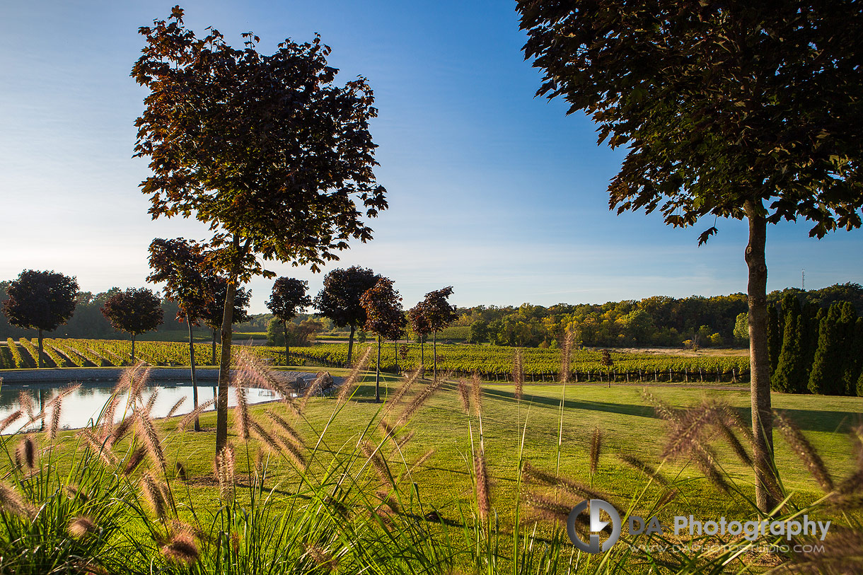 Lincoln Estates Garden Wedding