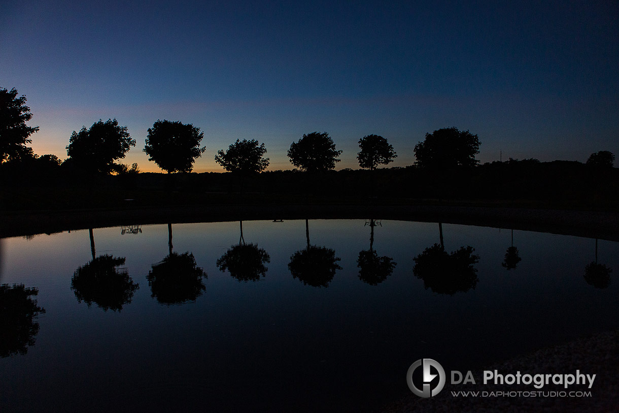 Tree reflections on a sunset in Niagara on the Lake