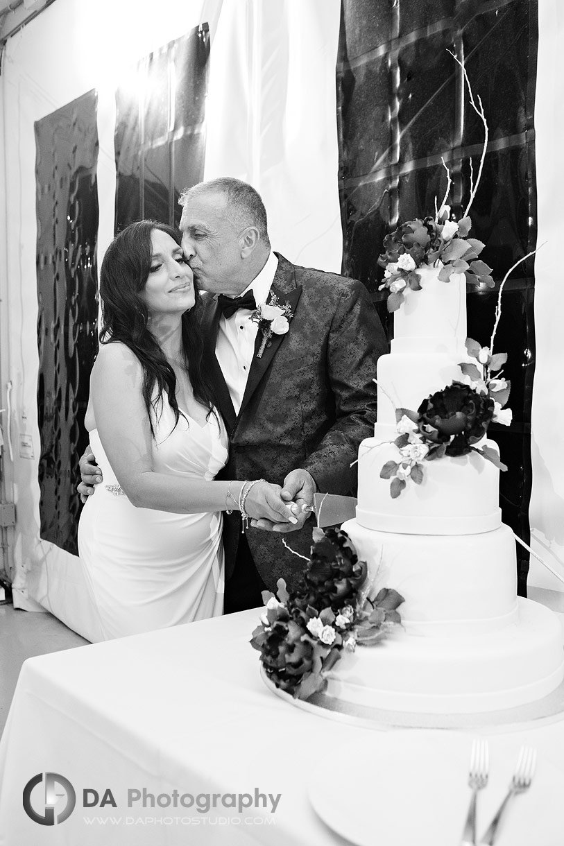 Bride and Groom cutting as wedding cake