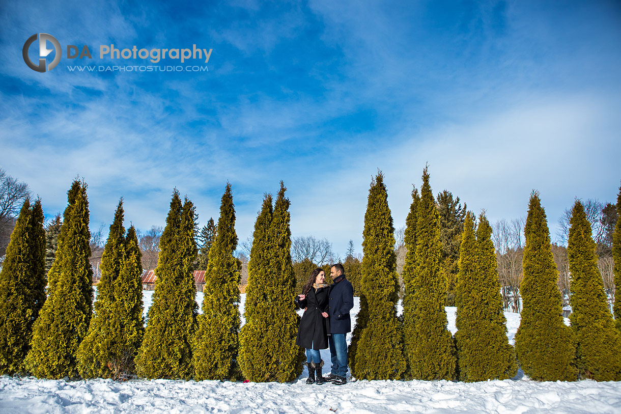 Engagement Photographer for Mono