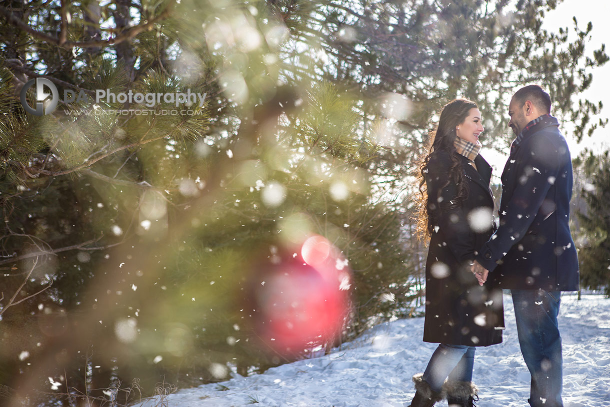 Winter Engagement Photographs at Mono