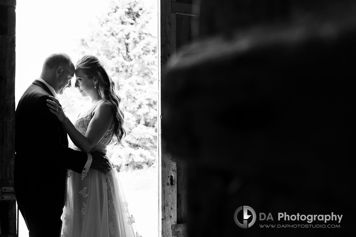 Best Wedding Pictures in Newmarket