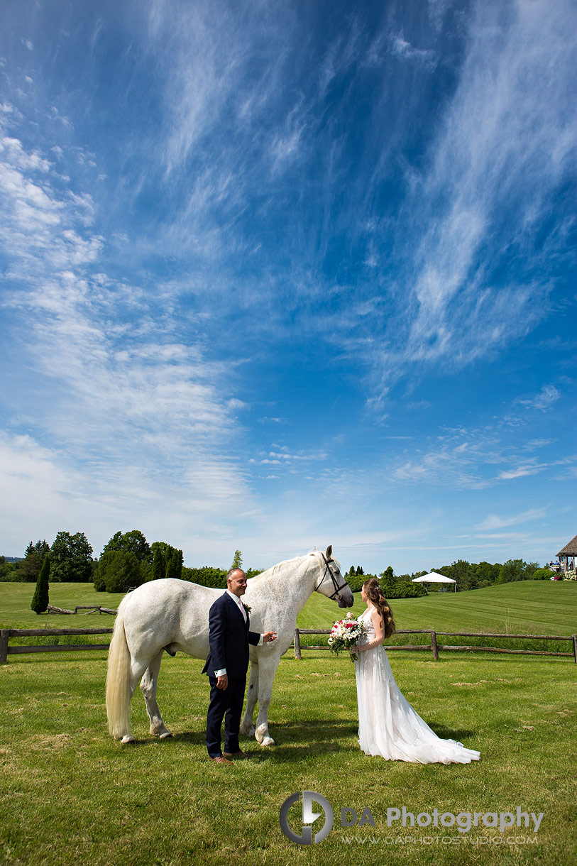 Horse Stables Farm Wedding