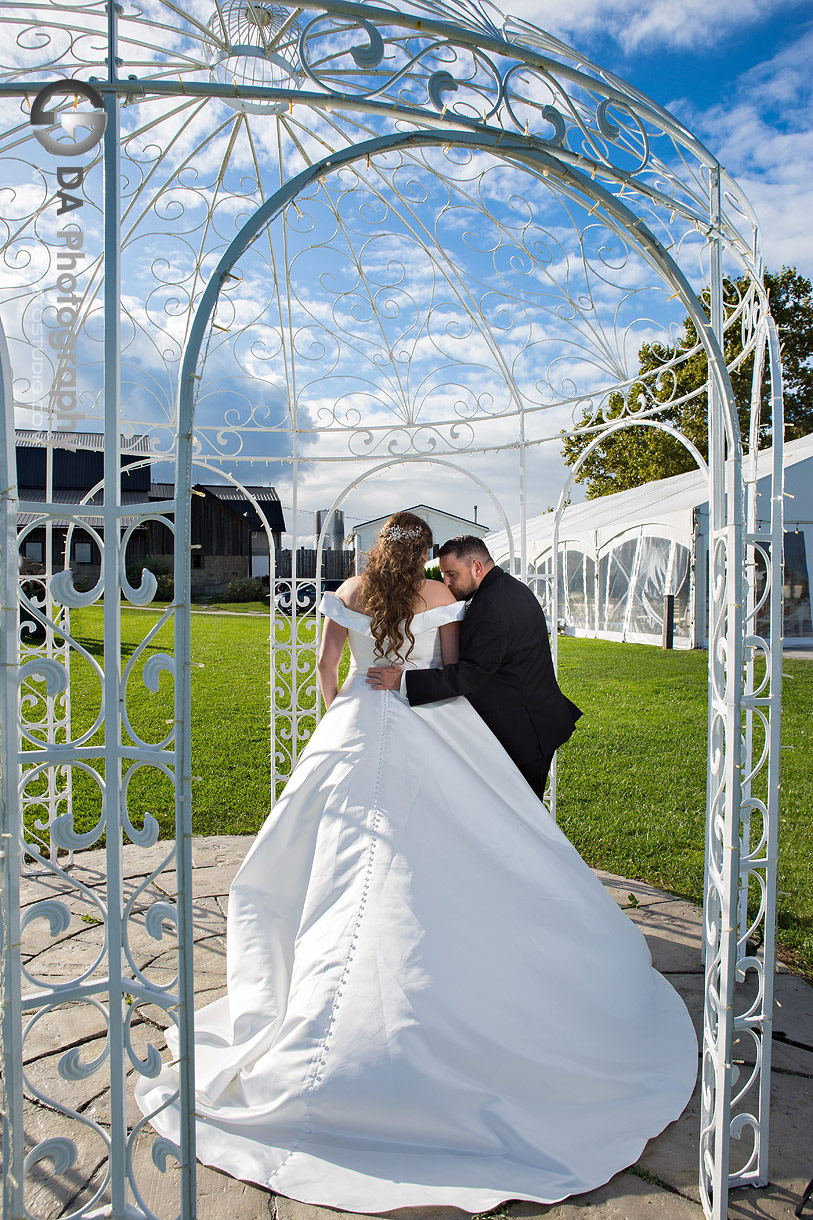 Wedding Pictures at Sue-Ann Staff Estate Winery in Niagara on the Lake