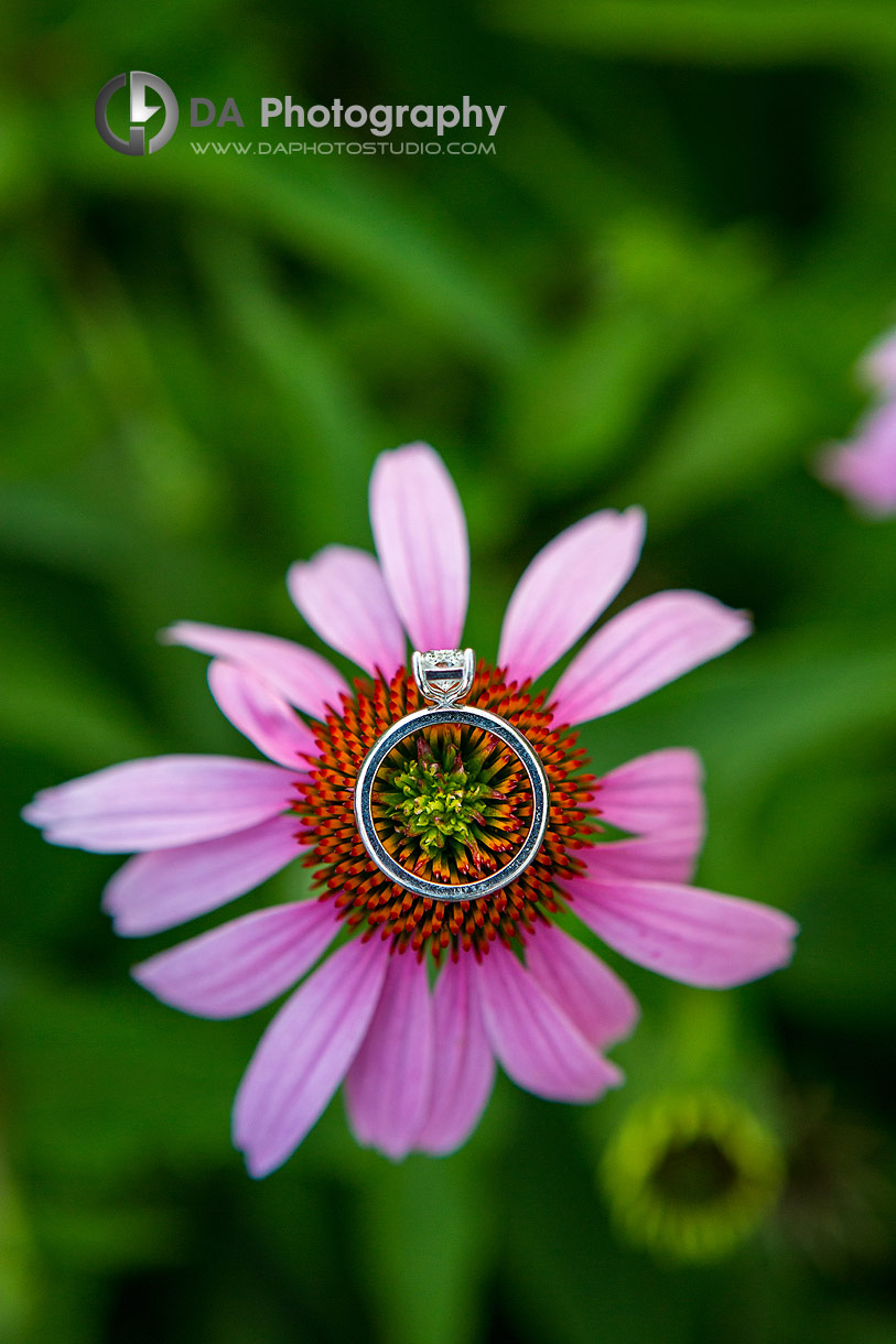 Creative photo of an Engagement Ring on a flower