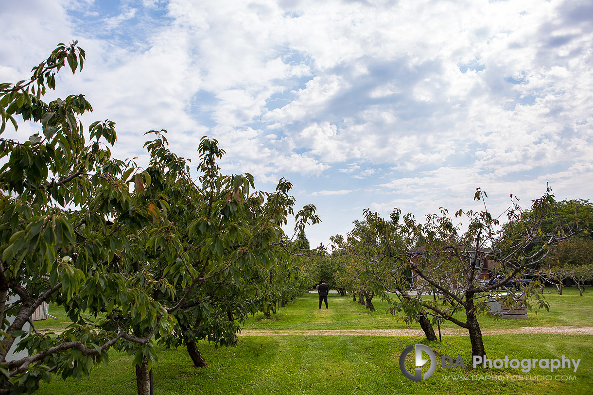 Top Wedding Photographers in Niagara