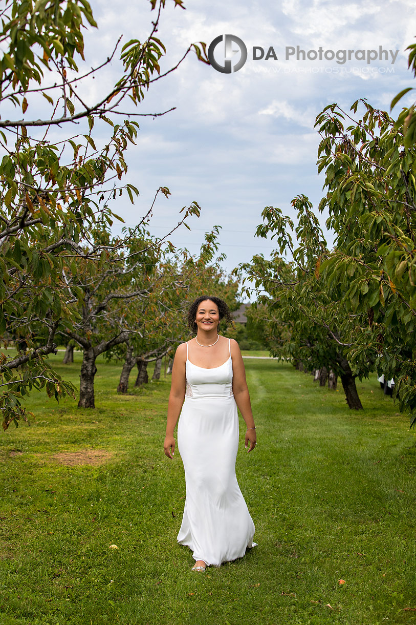 Wedding Dress at Peach Orchard