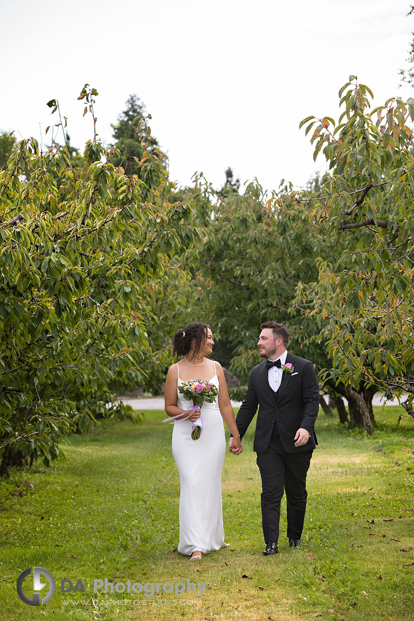 Bride and Groom Photos at Niagara's Peach Orchard Wedding