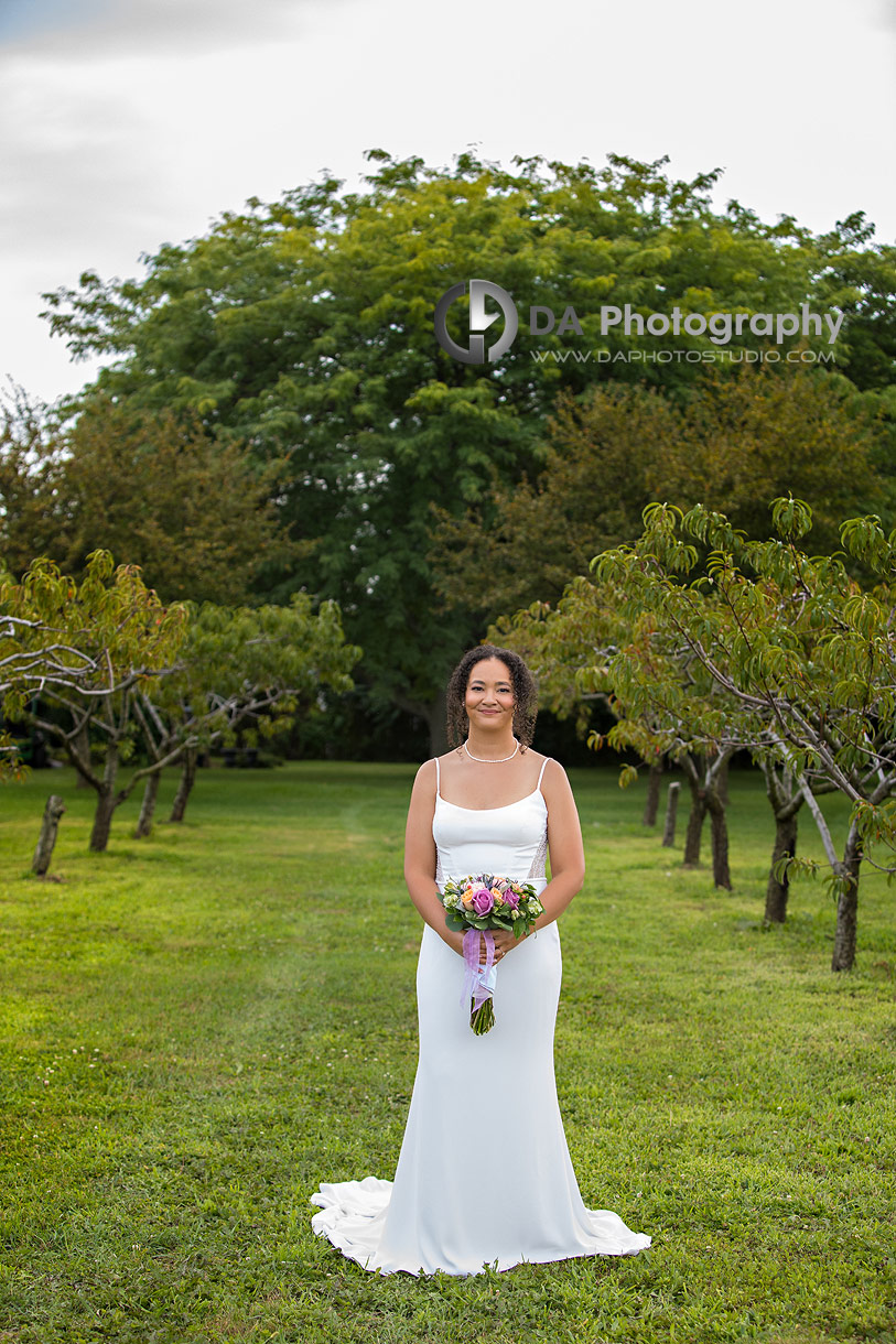 Wedding Dress at Peach Orchard in Niagara