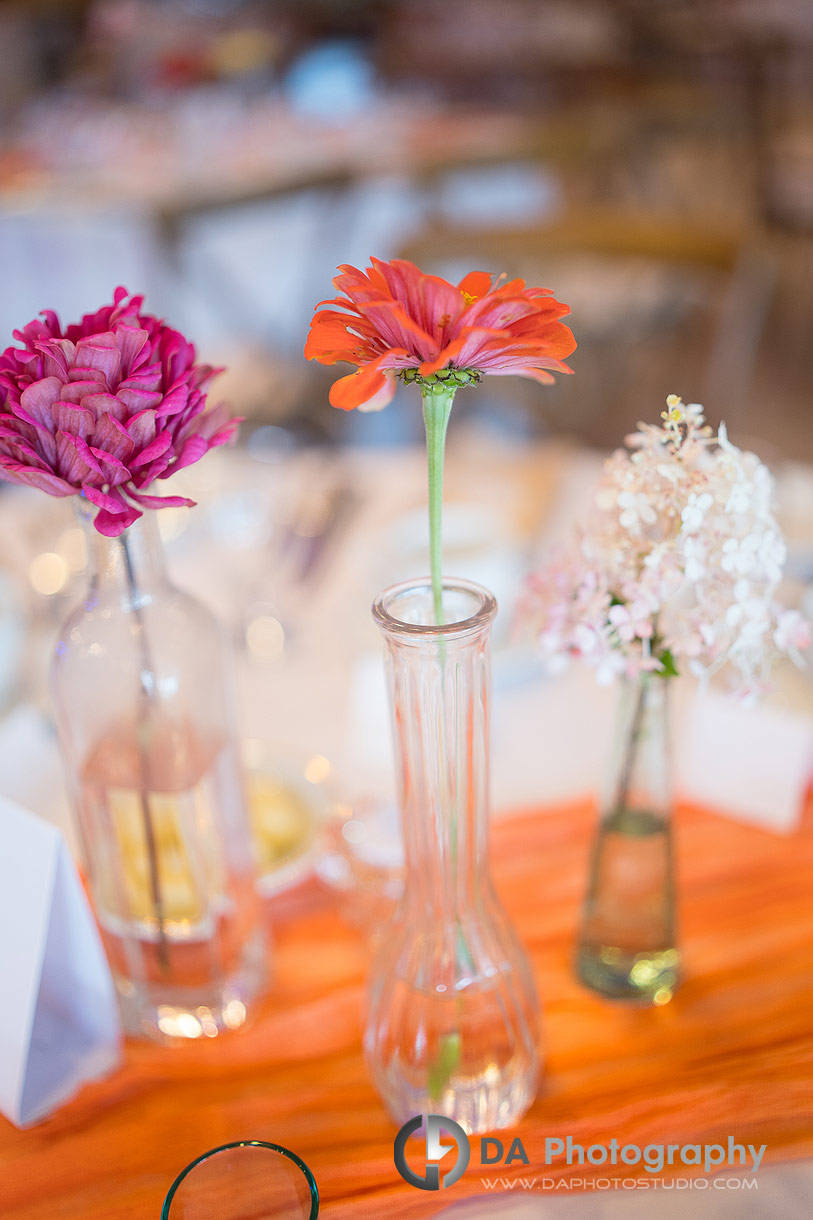 Niagara Peach Orchard Wedding Reception