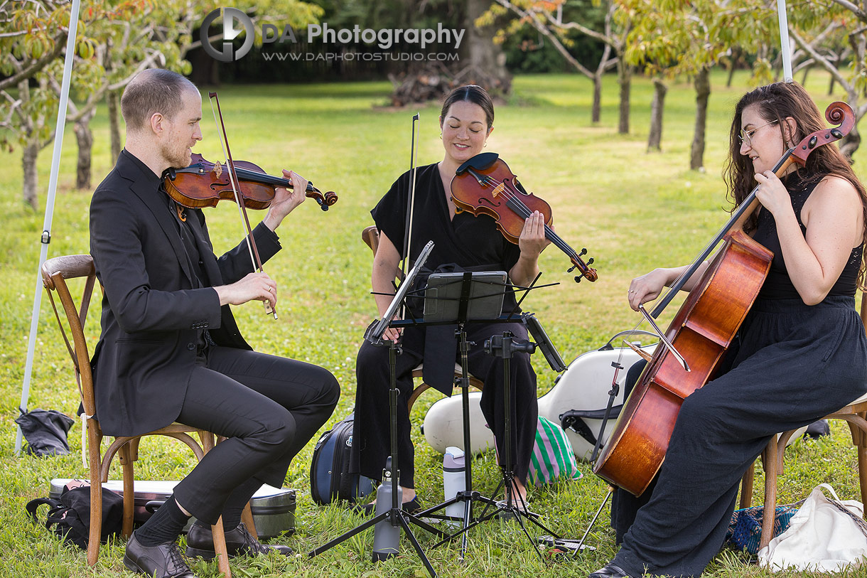 Musical Trio at Niagara Peach Orchard Wedding