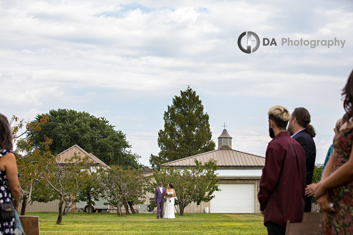 Weddings at Peach Orchard in Niagara