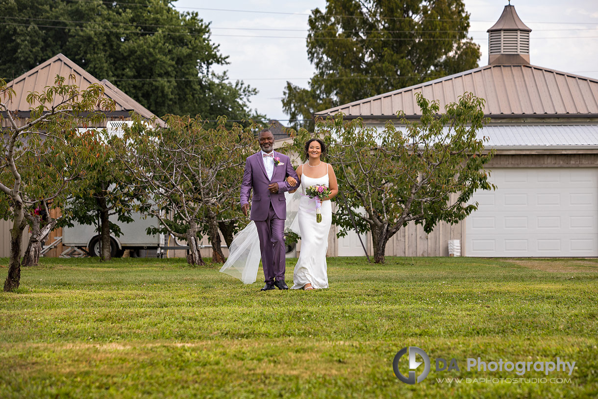 Wedding at Peach Orchard in Niagara