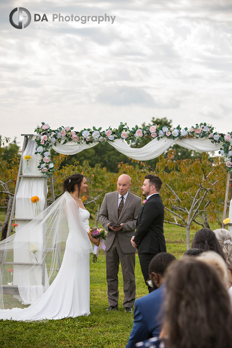 Wedding Ceremony at Peach Orchard in Niagara