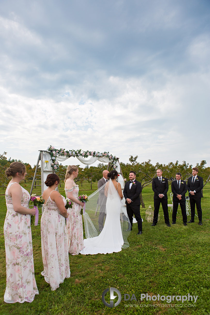 Wedding Ceremonies at Peach Orchard in Niagara