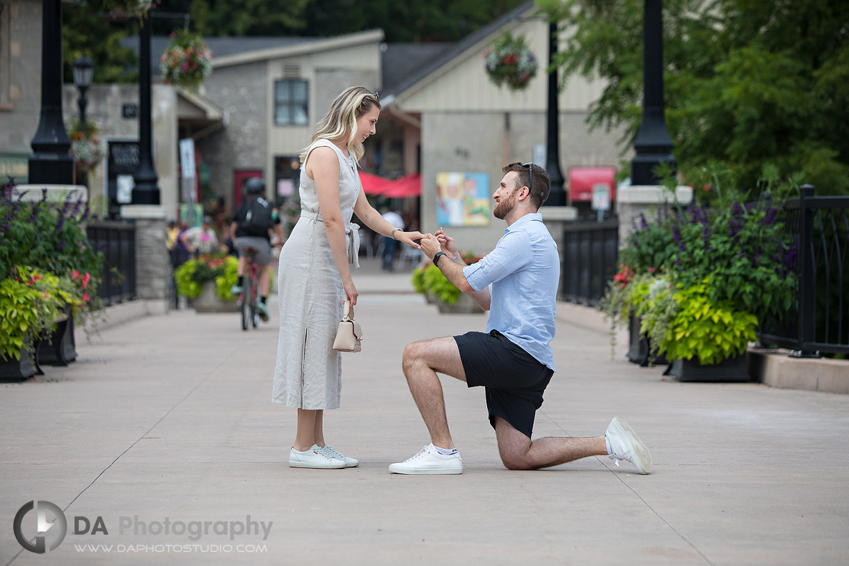 Surprise Elora Mill Proposal