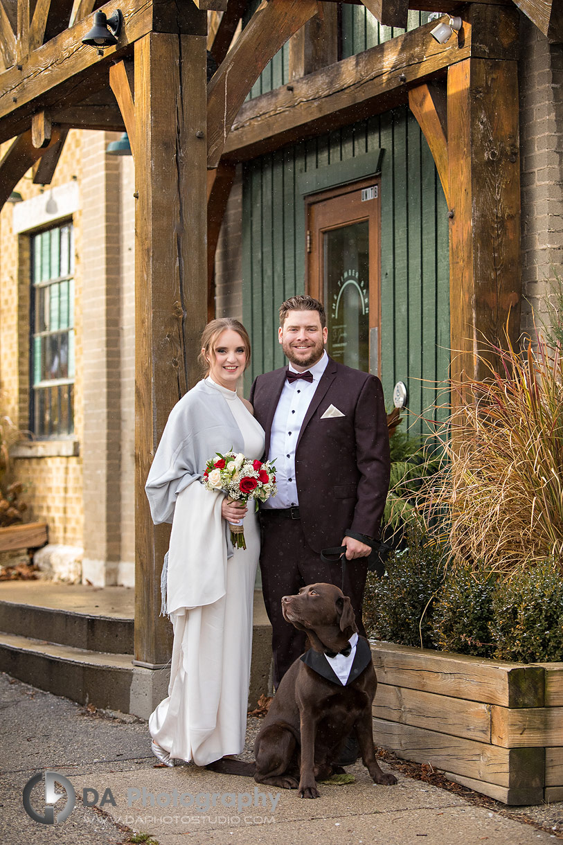 Timber Barn Wedding in St. Jacobs