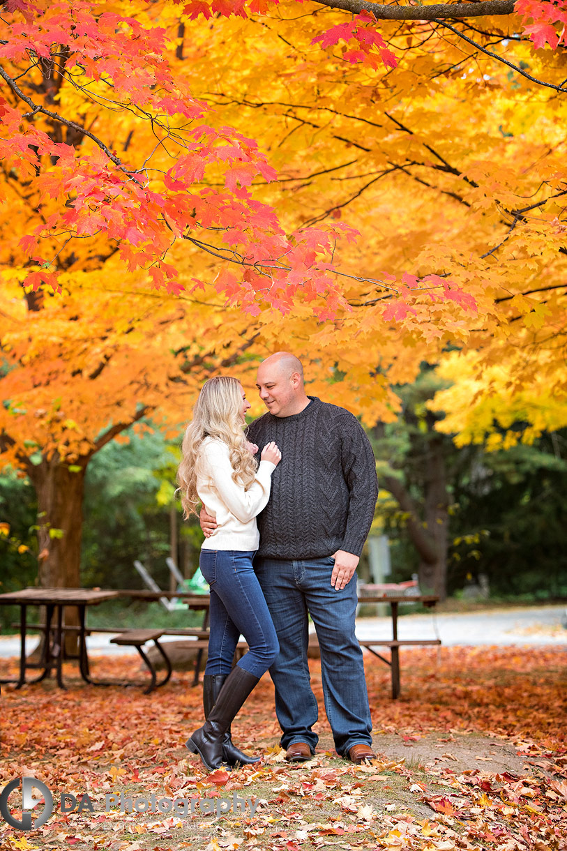 Rockwood Conservation Area engagement photography