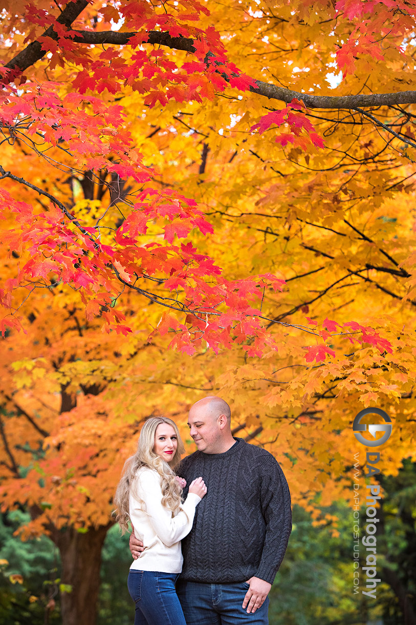 Rockwood Conservation Area Engagement photo
