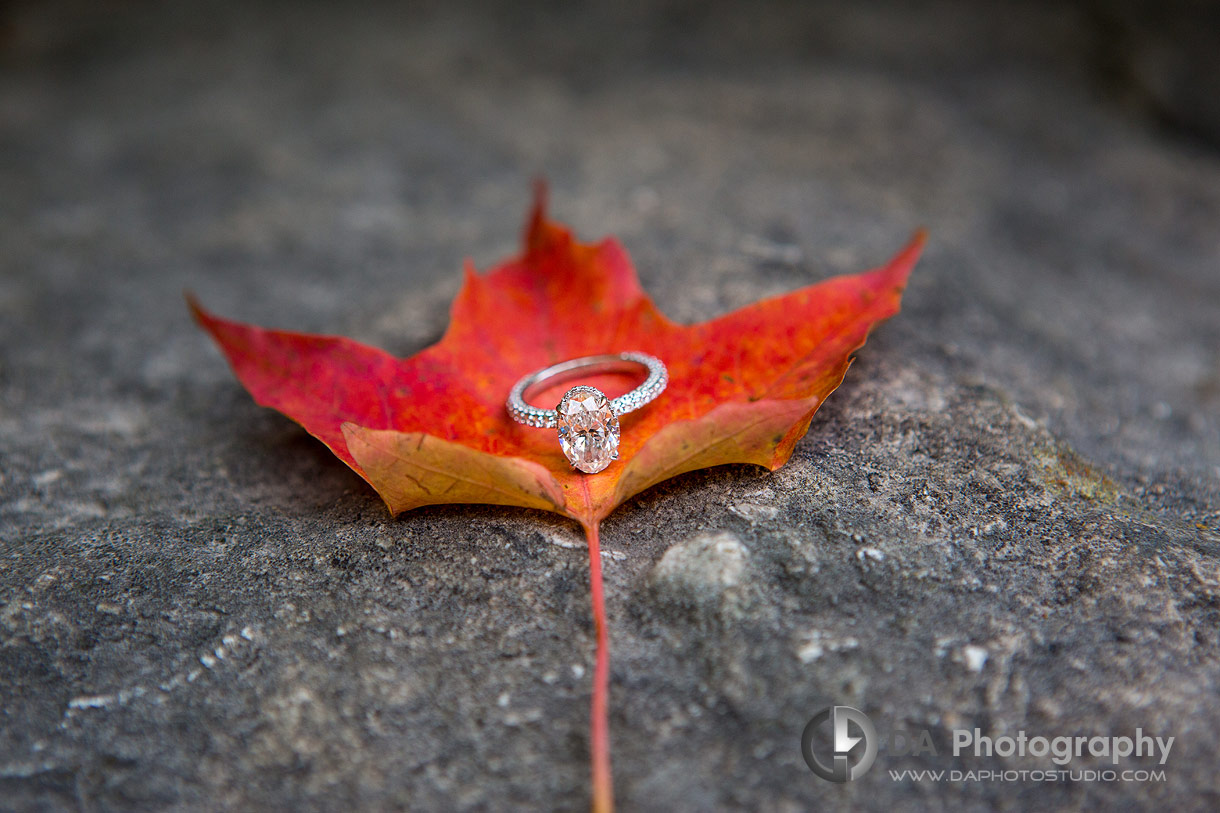 Photo of a Engagement ring in fall on a red leaf