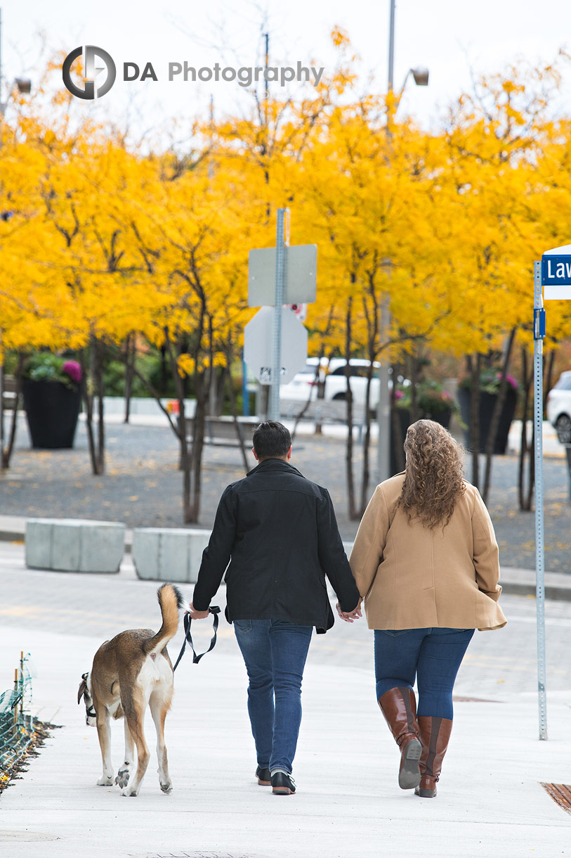 Toronto City Engagements