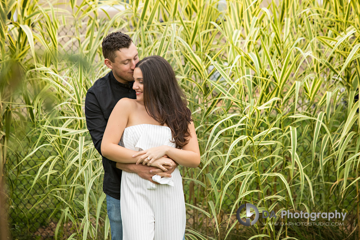 Engagement Photography in Oakville