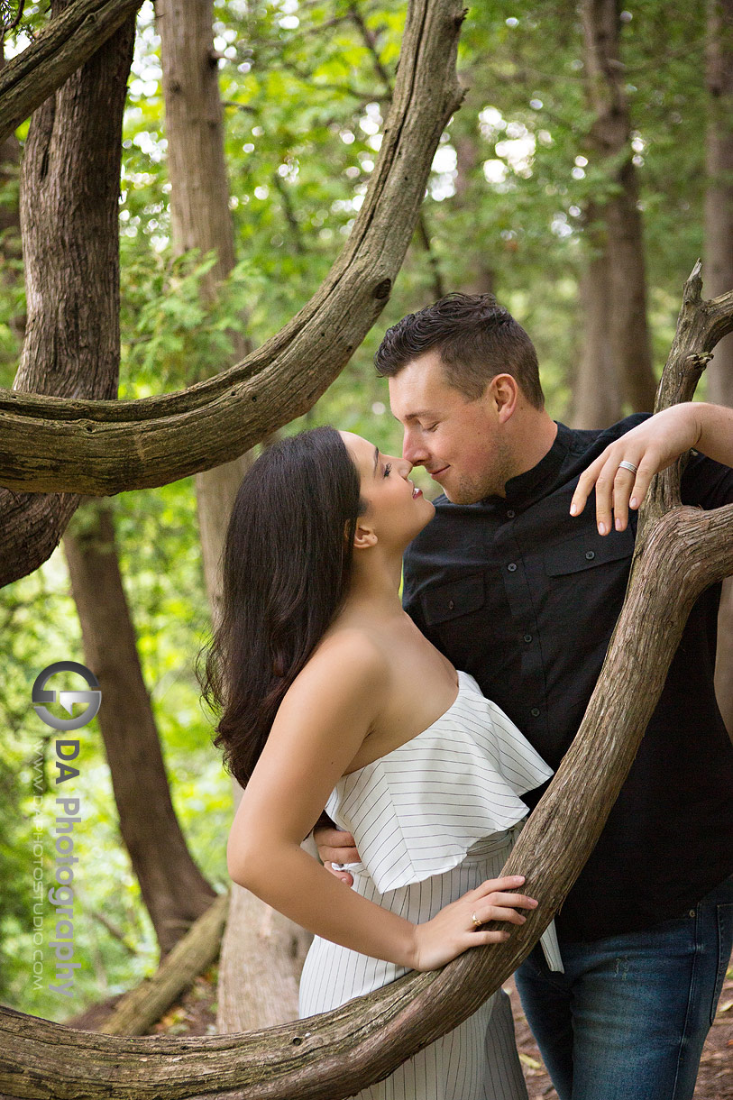 Engagement Photographs at Oakville