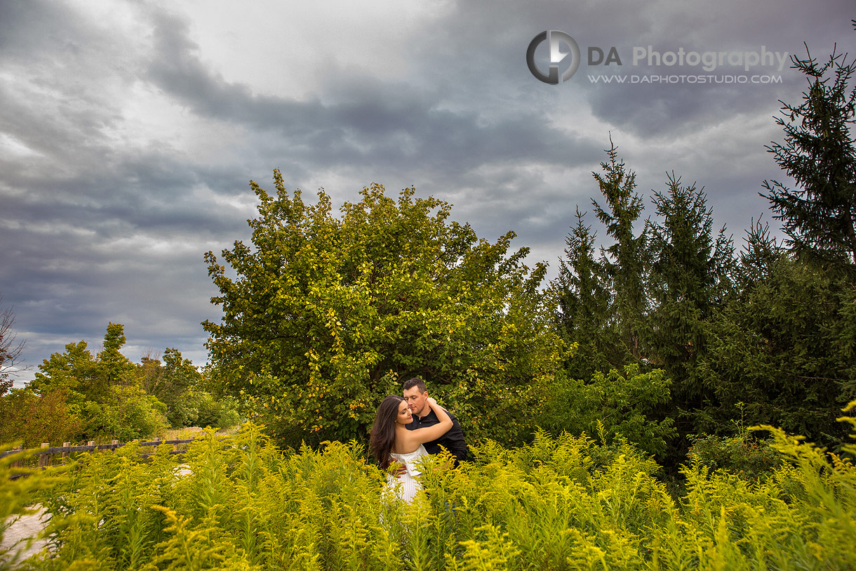 Golden Hour Engagement in Oakville